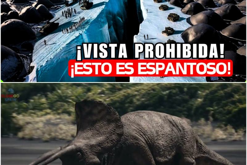 El Continente Prohibido: Los Secretos Ocultos, la Amenaza del Hielo y la Silenciosa Guerra Mundial por la Antártida