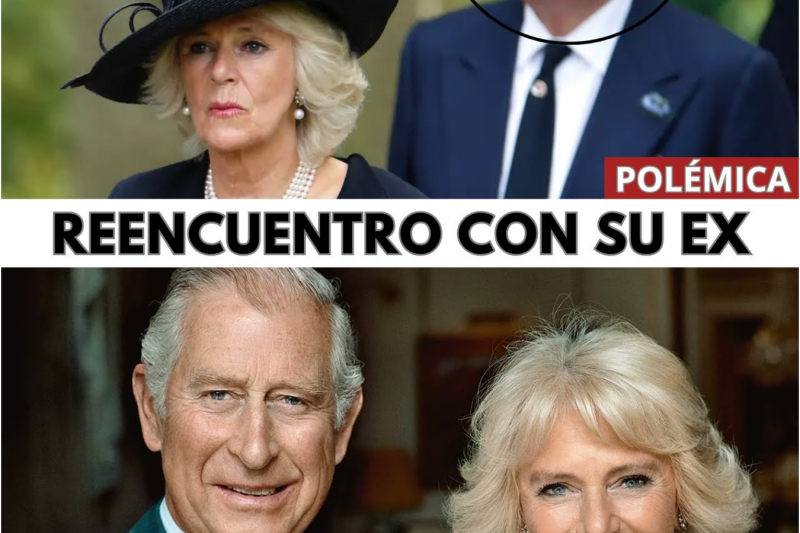 El Silencioso Drama de la Reina Camilla: Enfermedades Ocultas, Refugios Millonarios y el Inesperado Giro en su Vida Privada