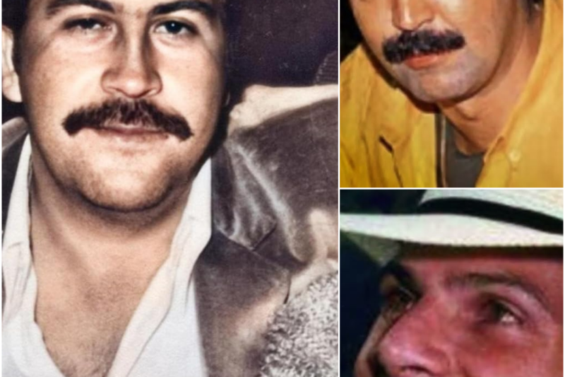 El Ocaso del Patrón: La Verdad Detrás del Ascenso, el Terror y la Sangrienta Caída de Pablo Escobar