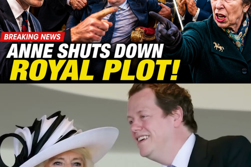 Jaque mate en Buckingham: El príncipe Guillermo frena el ascenso del hijo de Camila y blinda el futuro de la corona
