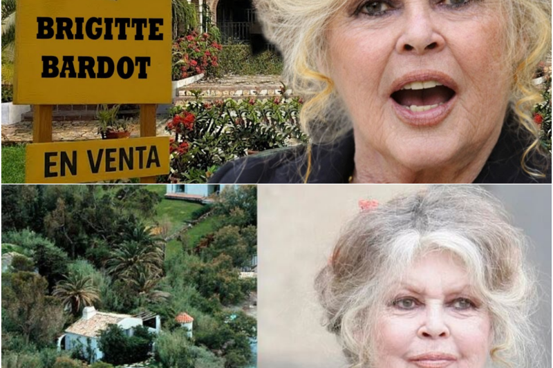 El misterio de la última morada de Brigitte Bardot: Ruina aparente, un patrimonio multimillonario oculto y la herencia secreta que fracturó a su familia