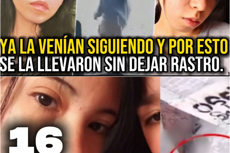 Esto pasó con Kimberly Hilary moya – por esto se la llevaron, y así se la llevaron Documental.