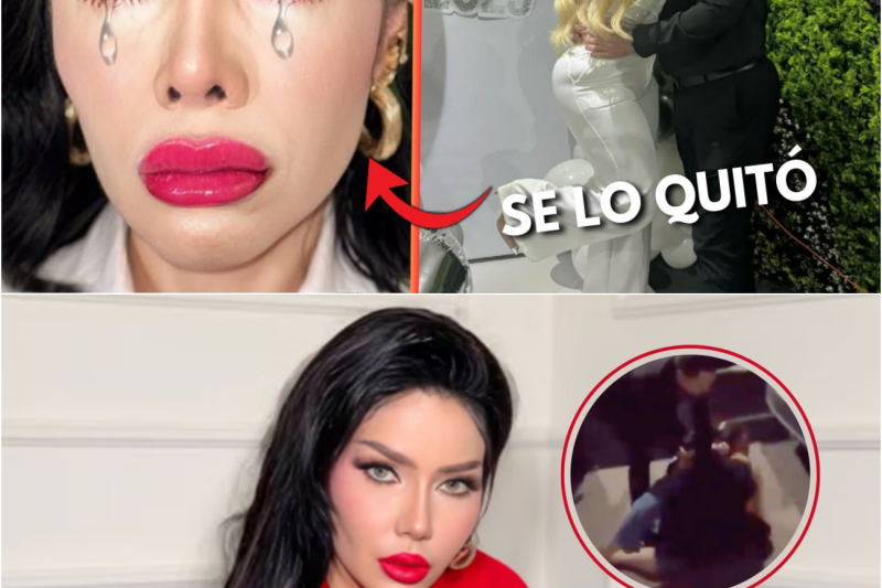 El Fin de un Imperio: La Traición, el Karma y la Brutal Guerra Digital que Destrozó el Matrimonio de Sol León y Roberto