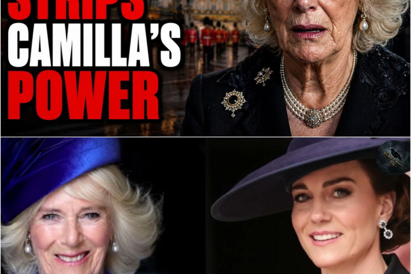 El desmantelamiento silencioso de la reina Camilla: El príncipe William y la princesa Ana imponen el peso del linaje de sangre en el protocolo real