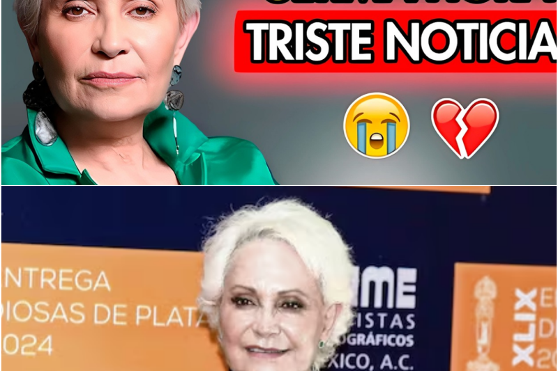La verdad devastadora de Adriana Barraza: Entre el brillo de Hollywood, el abandono, dos infartos y la batalla contra el cáncer