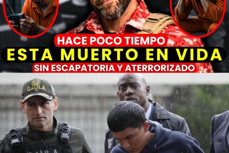 Así vive hoy Granko Arteaga antes de entrar al penal: Vigilado y Temblando de Miedo