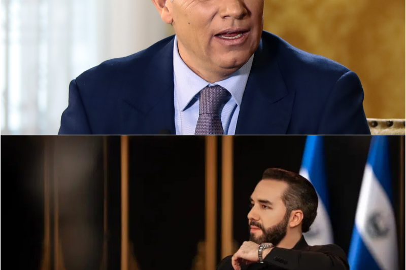 Fernando del Rincón se BRULÓ de Bukele en Vivo… la Respuesta fue Inmediata y DEVASTADORA