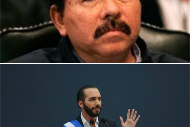 BUKELE HUMILLÓ a ORTEGA en la OEA y Nadie Esperaba Esta Respuesta