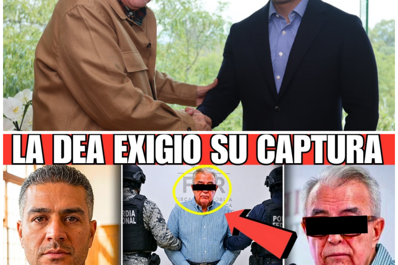 ¡HARFUCH CAZA al GOBERNADOR MORENISTA! La DEA EXIGIÓ CAPTURAR a ROCHA MOYA y su RED de FUNCIONARIOS!