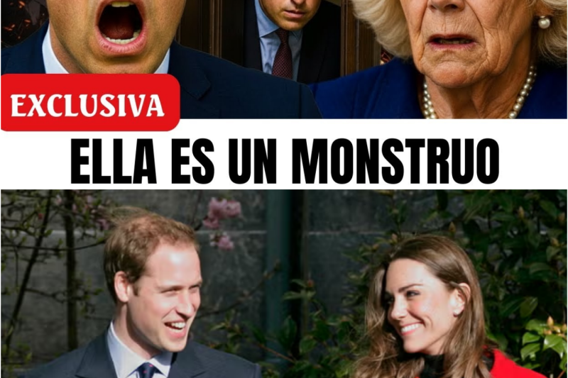 El príncipe William acaba de DESCUBRIR la habitación SECRETA de Camilla… ¡Y lo que encontró dentro