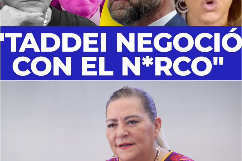 El cerco sobre el INE: Estados Unidos investiga a Guadalupe Taddei por presuntos vínculos financieros con Alfonso Durazo y redes del oficialismo