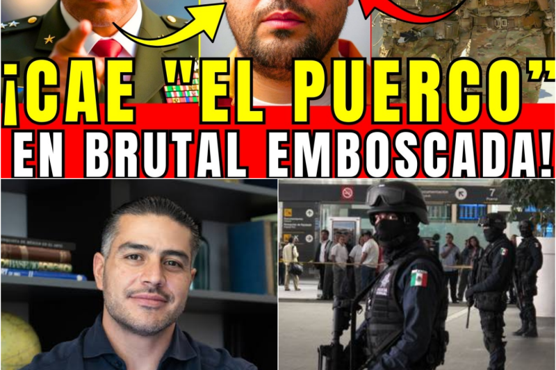 ¡El Golpe Maestro de Harfuch! La Caída de “El Puerco” y la Memoria USB que Expuso a Los Chapitos en Veracruz
