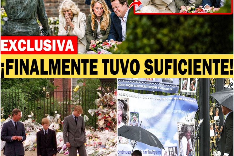 El Ocaso de los Windsor: El brutal enfrentamiento que destruyó la imagen de Camila y reveló la verdad sobre la Princesa Diana