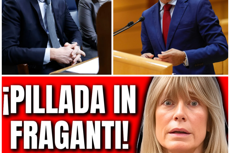 Escándalo en el Senado: El Gobierno Acorralado por la Corrupción, el Caso Koldo y la Polémica de Begoña Gómez