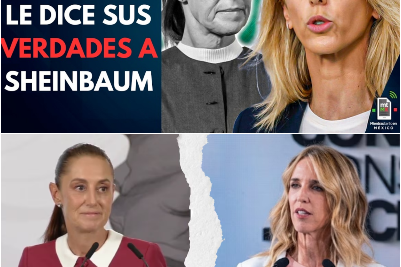Menos Teatro Histórico y Más Responsabilidad Contemporánea: La Diputada Cayetana Álvarez de Toledo Pone en Jaque la Estrategia de Claudia Sheinbaum