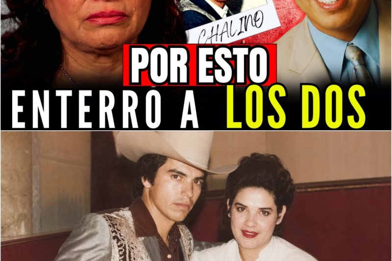 El Milagro que Desafió a la Ciencia: La Verdad Detrás del Rescate que Conmocionó al Mundo y el Instinto Inquebrantable de Supervivencia