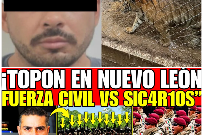 ¡HARFUCH PERFORÓ A CÉLULA del CÁRTEL en NUEVO LEÓN; SE ARMÓ TOPON VS S1CAR1OS en LINARES!