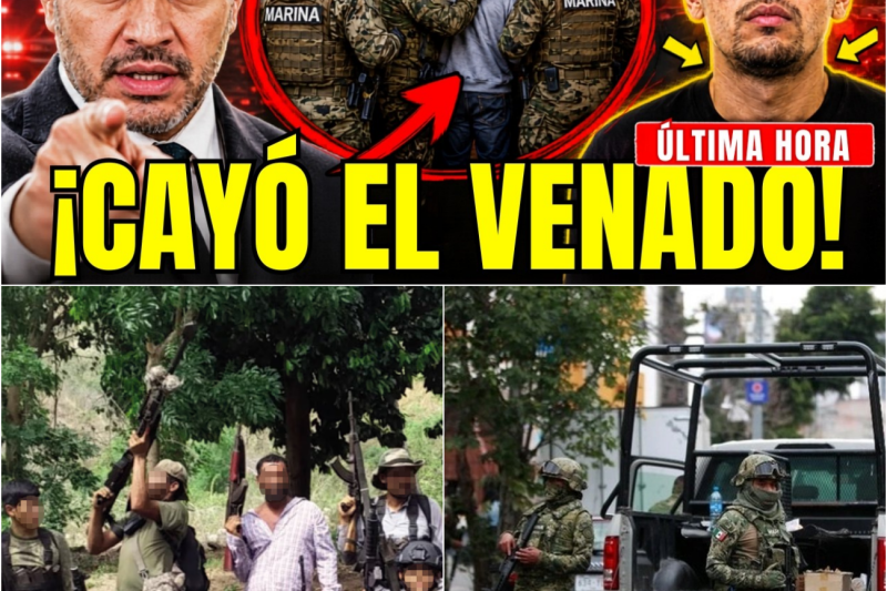 La Caída de “El Venado” y el Secreto de Los Mezcales: La Implacable Cacería de la Marina por el Control de Manzanillo