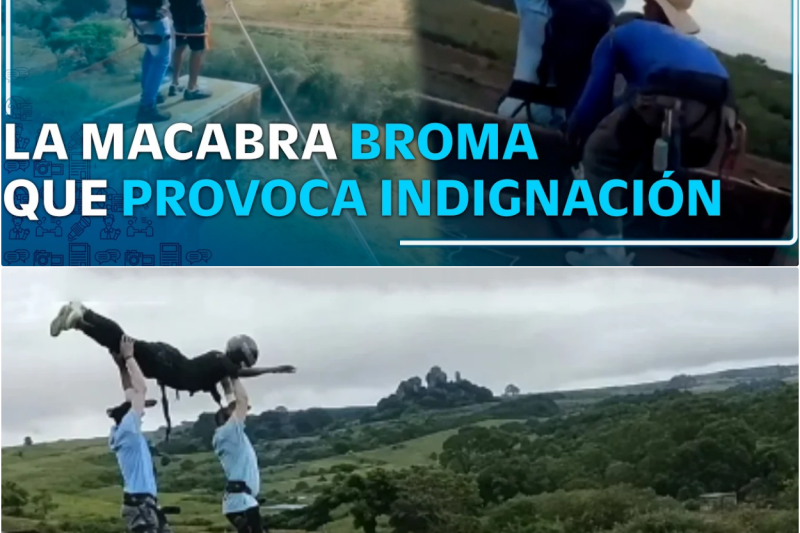 El Macabro Presagio del Ponte do Esqueleto: La Tragedia de Bungee Jumping que Destapó el Perturbador Pasado de un Instructor