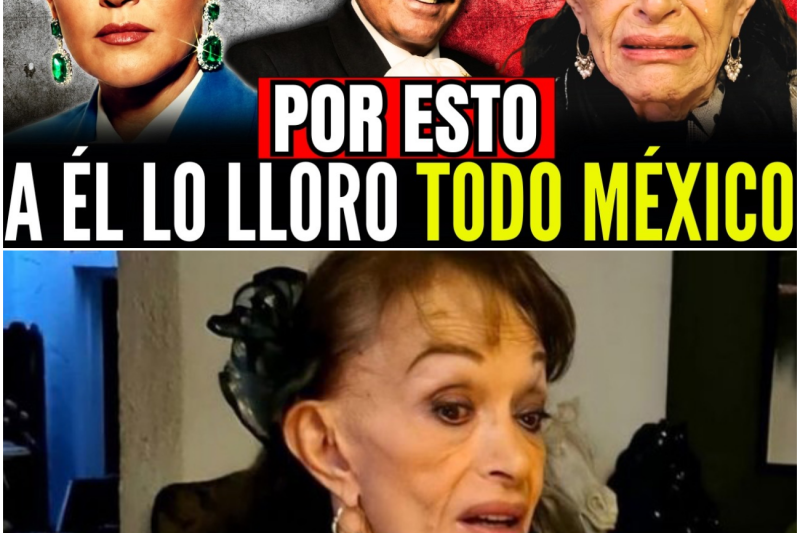 Lucha Villa: Por ESTO el Mundo Lloró a Vicente y a Ella la Dejó Caer en Silencio