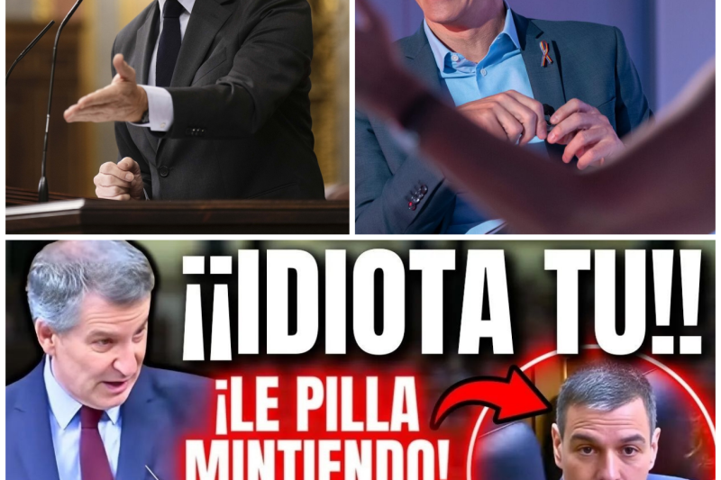 El Ultimátum de Feijóo que Acorrala a Pedro Sánchez: Entre la OTAN, los Escándalos y unas Elecciones Inevitables