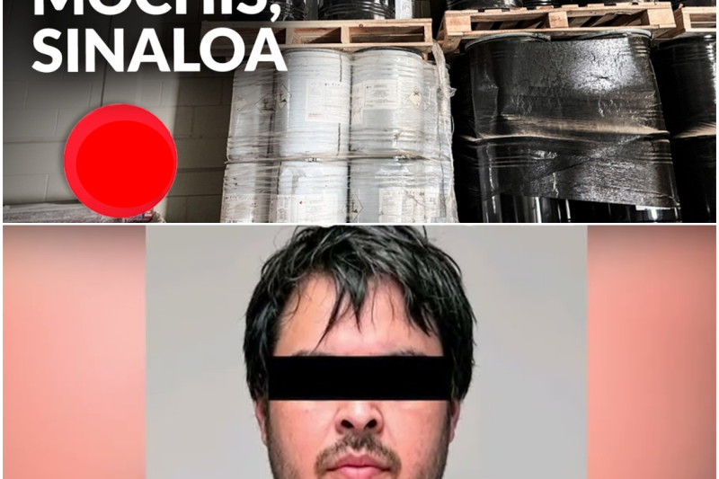 Decomiso Histórico en Sinaloa: Un Golpe de 9,000 Millones de Pesos Bajo la Sombra de la Tensión Geopolítica Internacional