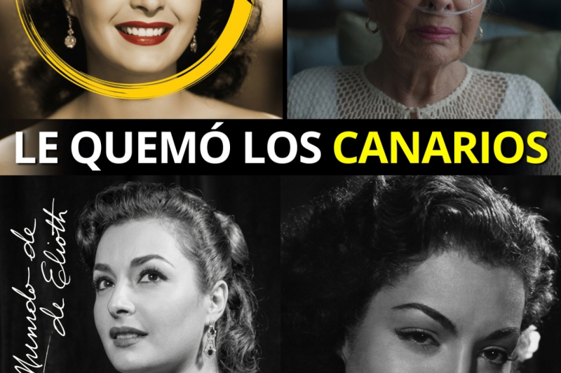 El Desgarrador Adiós de Elsa Aguirre: Los Secretos, la Violencia y la Tragedia de la Última Diva del Cine de Oro Mexicano