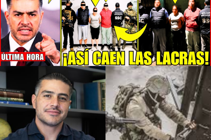 El Golpe de Harfuch a “Los Tanzanios”: La Aterradora Red Criminal que Infiltró la Política en la Ciudad de México