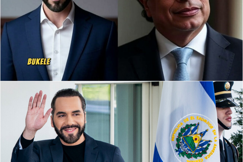 Periodista que intentó enfrentar a Bukele y Petro recibió lección inolvidable