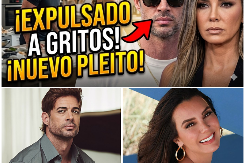 ¡Reencuentro de Pesadilla en Miami! William Levy y Elizabeth Gutiérrez Protagonizan Fuerte Pelea a Gritos: Toda la Verdad Detrás del Escándalo