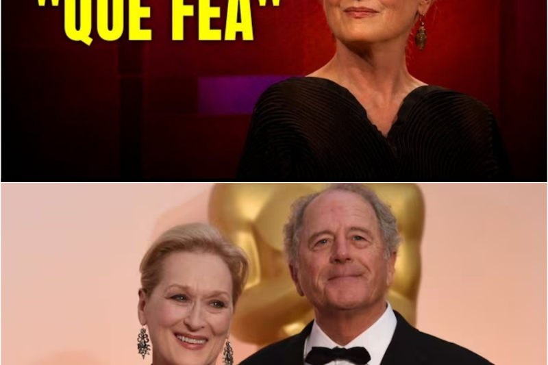 Meryl Streep FINGIÓ un Matrimonio por 45 Años… El Mundo APLAUDIÓ