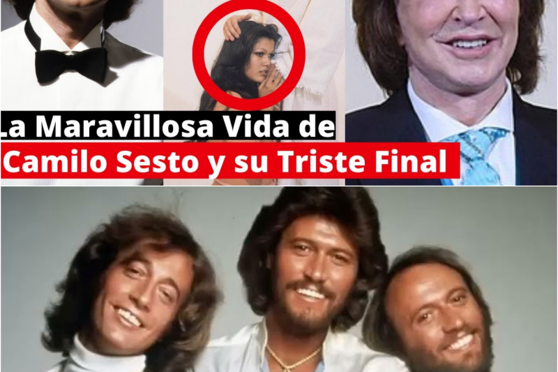 La Gloriosa Ascensión y el Ocaso Desgarrador de Camilo Sesto: El Genio Incomprendido que Entregó su Vida al Arte y Murió en la Soledad