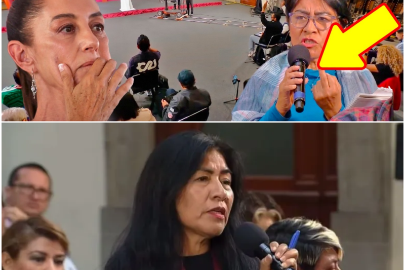 Tensión al Límite en Palacio Nacional: Reportera Acorrala a la Presidenta y Desata Polémica Nacional