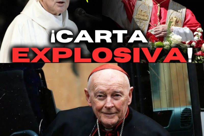¡REVELADA la CARTA SECRETA de VIGANÒ a LEÓN XIV: también sale a la luz BURKE!