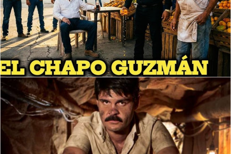 Un Matón Robó A Un Vendedor Pobre Y El Chapo Observó En Silencio — Pero La Historia Seguía