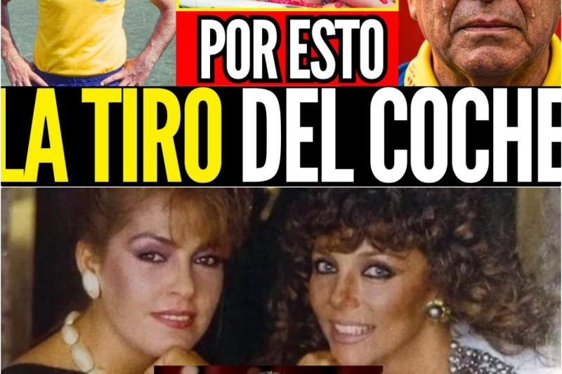 CARLOS REINOSO: CONFESÓ POR QUÉ EMPUJÓ A VERÓNICA CASTRO Y DESTRUYO A LA LEONA DORMIDA