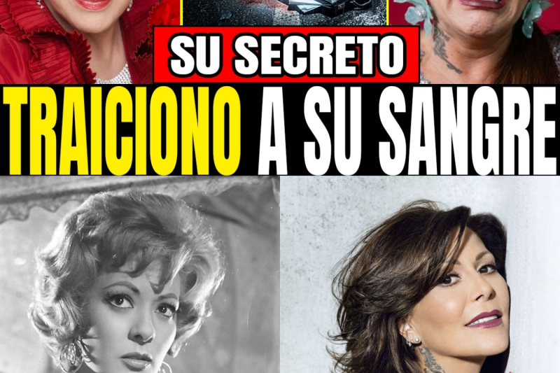 La Verdad Oculta Tras el Pacto de Silvia Pinal: Ambición y Tragedia en el Corazón de una Dinastía