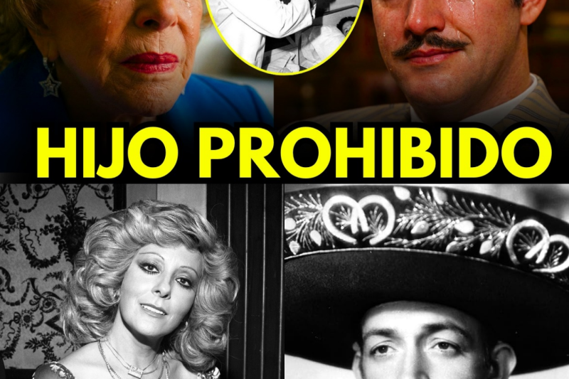 El Silencio de 73 Años: La Historia Oculta de Silvia Pinal y Jorge Negrete
