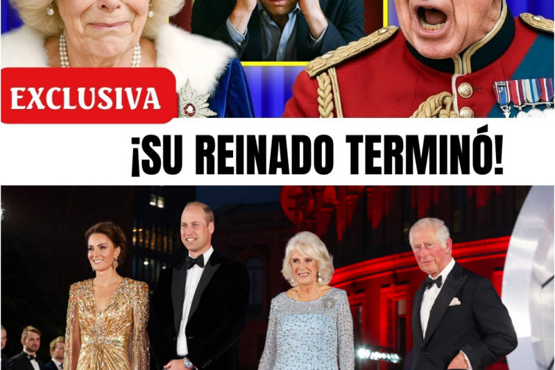 ¡El rey Carlos se enfrenta a la reina Camila después de que el príncipe Guillermo conectara