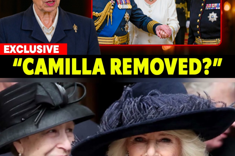 El día que Buckingham enmudeció: La drástica decisión del Rey Carlos III sobre el futuro de Camila que dejó sin palabras a la Princesa Ana