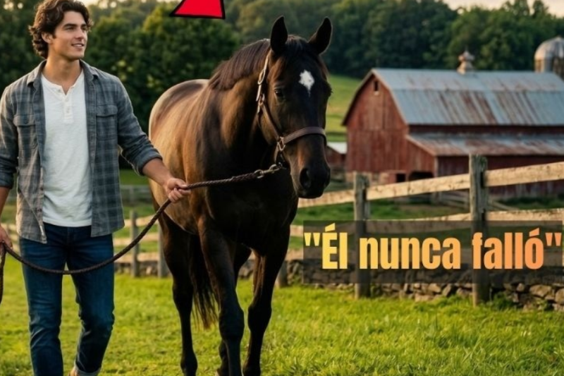 Todos Se Burlaron De Su Techo Doble — Excepto Su Caballo, Hasta Que La Tormenta Les Dio La Razón