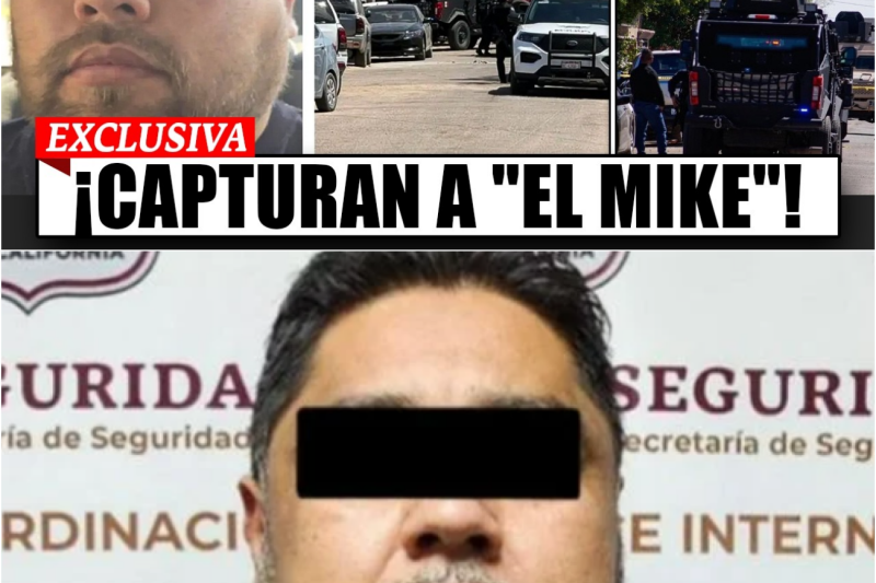 Capturan a “El Mike” Operador de LOS RUSOS Sinaloa en Baja California: 18 HORAS de SITIO en MEXICALI
