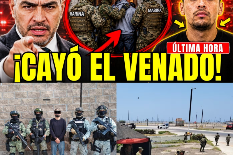 La Caída de “El Venado”: La Cacería Implacable en Colima que Revela el Ajedrez Mortal del Narco por el Puerto de Manzanillo