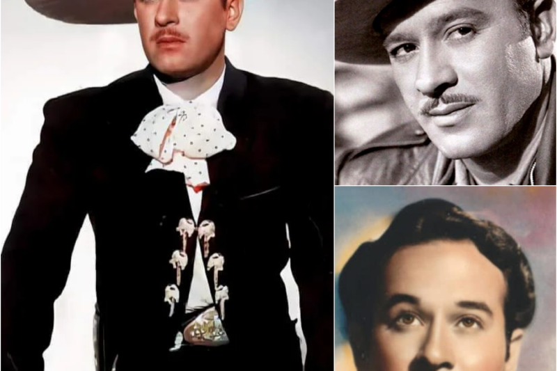 Pedro Fernández: La Historia que Nadie Entendió