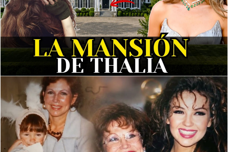Thalía: El Silencio detrás del Éxito, la Fortaleza de una Leyenda y su Verdadera Historia