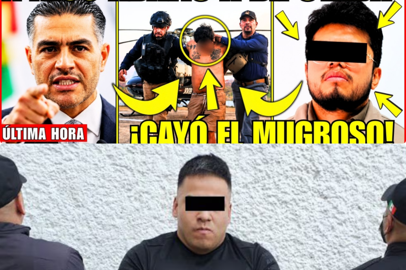 ¡HARFUCH CAZÓ A “EL COJO” de LA UNIÓN TEPITO; HIZO ATENTADO a DIPUTADA y ESTABA PRÓFUGO!