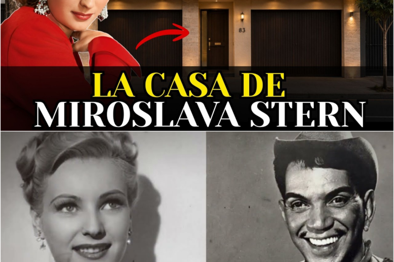 Así Fue la Vida de Miroslava Stern y el Misterioso final en su Casa | Amores, Desgracias y Secretos