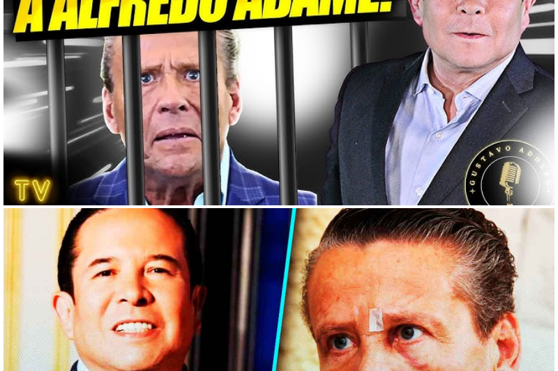 ¡Escándalo en la Farándula! Alfredo Adame Somete a Gustavo Adolfo Infante, Desafía a Sergio Mayer y Destapa Cruda Verdad Sobre sus Exesposas
