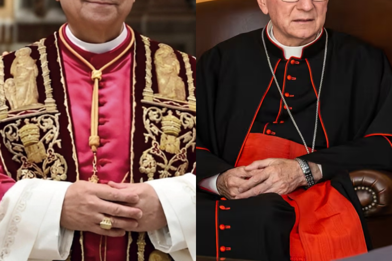 El Relatio de silencio: El Papa León XIV ordena la purga y detención de la cúpula del Vaticano ante un misterioso parásito de la conciencia