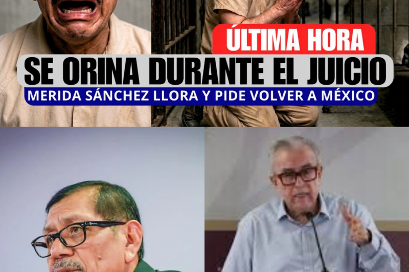 El General que vendió su alma: La caída del estratega que protegía al Cártel de Sinaloa desde el gobierno